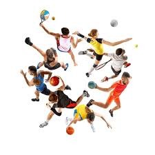 [全运会]山东男排夺得全运会成年组金牌